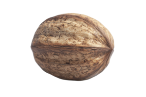 Close-up of a single walnut with detailed texture, showcasing its natural shell. Perfect for food, health, and nutrition themes. png