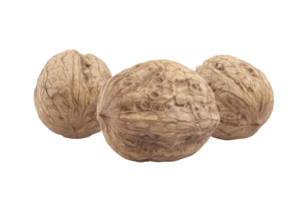 Close-up of three whole walnuts against a transparent background. Detail and texture are shown clearly in this isolated image. png