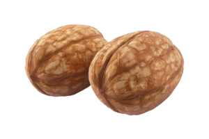 Close-up of two whole walnuts isolated on a transparent background. Perfect for food, health, and nutrition-related projects. png
