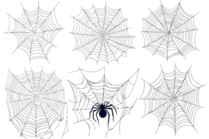Set of various intricate spider webs isolated on a transparent background, ideal for Halloween and spooky themed designs. png