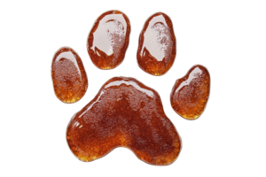 High-resolution image of a glossy animal paw print isolated on a transparent background. perfect for animal-related designs and projects. png
