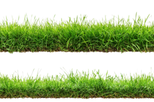 Two lush green grass borders isolated on transparent background. perfect for gardening and landscaping projects. png