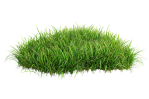 Lush green grass isolated on transparent background. perfect for nature and landscaping themes in a clear, high-resolution image. png