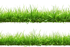 Two sections of vibrant green grass isolated on a transparent background, ideal for design and nature-related projects. png
