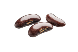 Close-up of three glossy dark brown seeds isolated on transparent background. Perfect for health-related and culinary content. png