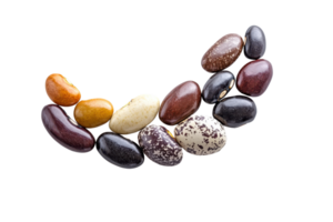 A variety of colorful dried beans arranged in a semi-circle pattern on a transparent background. Perfect for food and agriculture concepts. png