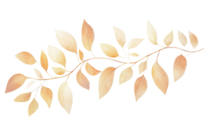 Elegant watercolor illustration of a delicate branch with autumn leaves in warm earth tones, perfect for seasonal and botanical designs. png