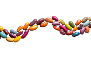 Colorful assortment of various beans arranged in a wave pattern on a transparent background. showcasing diversity in shape and color. png