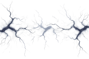Abstract illustration of a neural network. Complex, interconnected neurons depict the brain's intricate communication pathways. png