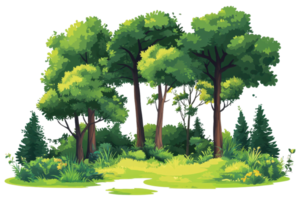 Lush green forest illustration with tall trees and dense foliage, perfect for nature-themed projects and backgrounds. png