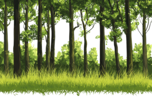 Lush green forest with dense trees and grass, providing a serene and natural atmosphere, perfect for nature and outdoor themed projects. png