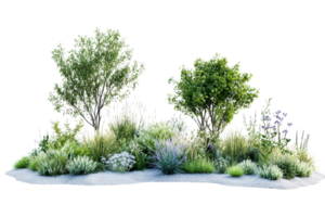 A beautiful, lush garden landscape with a variety of green plants, shrubs, and trees, perfect for nature-themed projects and backgrounds. png