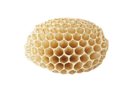 Close-up of a honeycomb showcasing the natural geometric structure of hexagonal cells, isolated on a transparent background. png