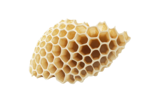 Close-up of an intricate honeycomb structure on a transparent background. showcasing natural geometric patterns and textures. png