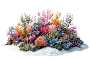 Vibrant coral reef with a variety of colorful corals and marine life, isolated on a transparent background. png