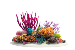 Vibrant coral reef filled with colorful corals against a transparent background. showcasing marine biodiversity and underwater beauty. png