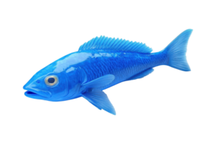 A detailed image of a blue fish, showcasing vibrant color and realistic texture, isolated on a transparent background. png