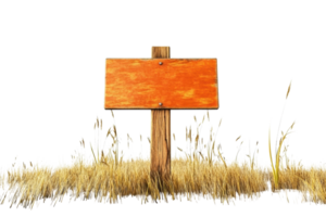 Empty wooden signpost in dry, grassy field. Ideal for adding your own text or message. Rustic outdoor signage in natural setting. png