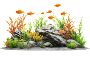 A vibrant aquarium scene featuring colorful fish, lush plants, and rock decorations, perfect for aquatic enthusiasts and nature lovers. png