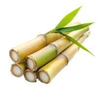 Fresh sugarcane stalks isolated on a transparent background showcasing their natural color and texture, Sugarcane isolated on transparent background png