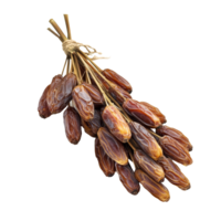 Dried date palm bunch on a transparent background highlighting natural textures and warm colors, Dried date palm isolated on transparent background png