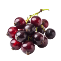 Fresh bengal currants and carandas plums isolated on a clean transparent background for culinary use, bengalcurrants, carandasplum, isolated on transparent background png