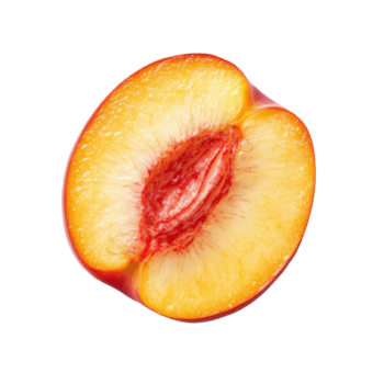 Vibrant nectarine slice displaying fresh colors and texture on a clean transparent background, Nectarine slice isolated on transparent background png