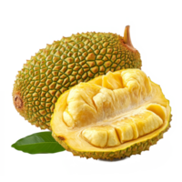 Ripe half jackfruit with leaf isolated on transparent background showcasing its unique texture and color, ripe half Jackfruit with leaf isolated on transparent background png