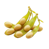Fresh soybeans in their pods isolated on a transparent background showcasing natural agricultural produce, Soy beans isolated on transparent background png