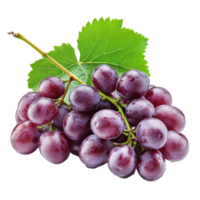 Fresh cluster of grapes isolated on a clean transparent background showcasing vibrant color and texture, Fresh Grapes Cluster Isolated isolated on transparent background png