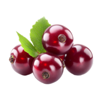 Fresh bengal currants and caranda plums arranged on a clean transparent background, bengalcurrants, carandasplum, isolated on transparent background png