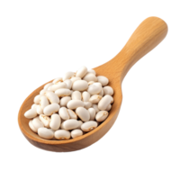 Wooden spoon filled with transparent beans on a clean transparent background ideal for culinary uses or healthy recipes, transparent beans in wood spoon isolated on transparent background png