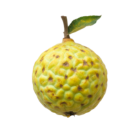 Fresh custard apple on a transparent background showcasing its unique texture and vibrant color, perfect for culinary exploration or healthy eating, Custardapple on transparent background png