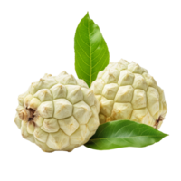 Fresh custard apples with green leaves isolated on a clean transparent background showcasing their natural beauty, Fresh custard apple with leaf isolated on transparent backgroundfile png