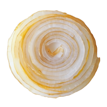 recentemente fatiado cebola camadas arranjado dentro uma circular padronizar isolado contra uma avião fundo, cebola fatias isolado png