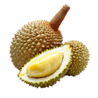 Fresh durian fruit split open revealing creamy flesh on a transparent background, King of fruits, durian isolated on transparent background png
