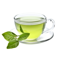 Fresh green tea in a glass cup with a saucer and basil leaves on a transparent background, green tea isolated on transparent background png