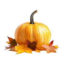 Autumn pumpkin surrounded by colorful leaves on a clean transparent background, Autumn pumpkin with leaves transparent background png