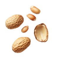Whole, peeled, and unpeeled peanuts arranged on a transparent background showcasing diverse peanut forms and textures, Peeled, unpeeled and whole shell peanuts isolated on transparent background png
