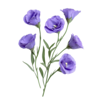 Beautiful lisianthus flowers arranged elegantly on a transparent background for a fresh and vibrant look, lisianthus flowers isolated on transparent background png