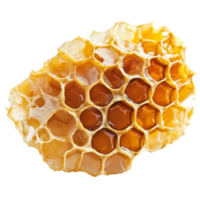 Isolated honeycomb displaying hexagonal wax cells filled with golden honey on a transparent background, Honeycomb isolated on transparent background png