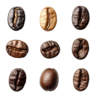 A unique perspective of assorted coffee beans arranged on a transparent surface highlighting their distinct colors and shapes, Different angle of individual coffee bean isolated png