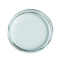 Empty petri dish placed on a smooth transparent background highlighting laboratory equipment for experiments, Empty petri dish isolated on transparent background flat lay png