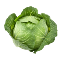 Freshly harvested green cabbage displayed on a plain transparent background, showcasing its vibrant leaves and natural texture, Fresh cabbage on transparent background png