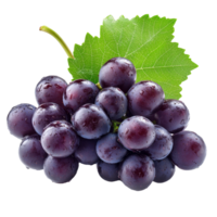 Fresh black grapes with dewdrops and green leaves isolated on a transparent background for culinary and health uses, Grape isolated on transparent background png