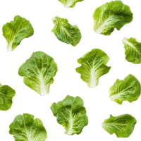 Fresh lettuce leaves scattered on a clean transparent background perfect for healthy recipes and salad preparations, lettuce leaves on transparent background png
