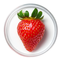 Fresh strawberry placed on a petri dish highlighting its essence and vivid details in a laboratory setting, Fresh strawberry with essence on petri dish over transparent background png