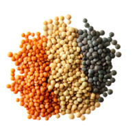 A colorful mix of lentils on a transparent background highlights their beauty and diversity, lentils on transparent background png