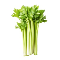Fresh celery stalks viewed from above on a clean transparent background, showcasing vibrant green leaves and crisp texture, Top view of celery isolated on transparent background png