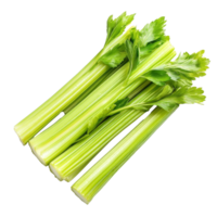 Fresh celery sticks displayed against a clean transparent background with vibrant green hues emphasizing their freshness and crispness, Celery sticks. on transparent background png